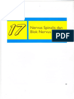 Bab 17 Nervus Spinalis Dan Blok Nervus Spinalis PDF