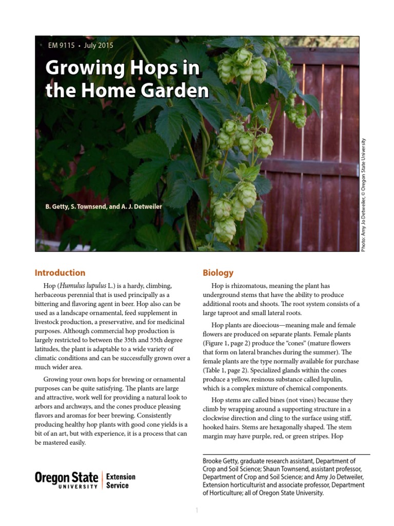 Growing Hops: A Home Guide | PDF | Hops | Landscape