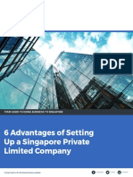 6 Advantages of Setting Up A Singapore Private Limited Company