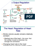 Cardiac Output Regulation