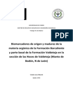 TFM - Gisela Leoz Munte PDF