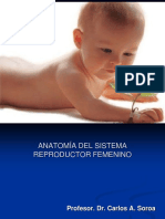 Anatomiadelaparatoreproductorfemenino