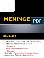 Meninges