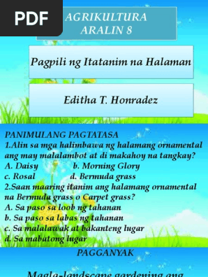 Pagpili Ng Halaman Itatanim