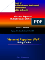 VeR Postmortem Report