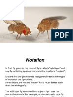Drosophila Mutants
