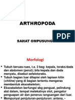 1arthropoda Pendahuluan PDF