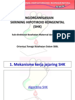 Pengorganisasian Program SHK