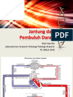 Jantung Dan Pembuluh Darah: Rizki Hanriko Laboratorium Anatomi-Histologi-Patologi Anatomi FK Unila 2018