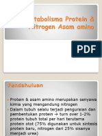 Katabolisma Protein Nitrogen Asam Amino 3