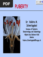 Puberty PDF