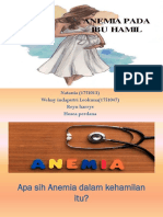 Anemia kehamilan