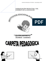 CARPETA PEDAGOGICA 2015