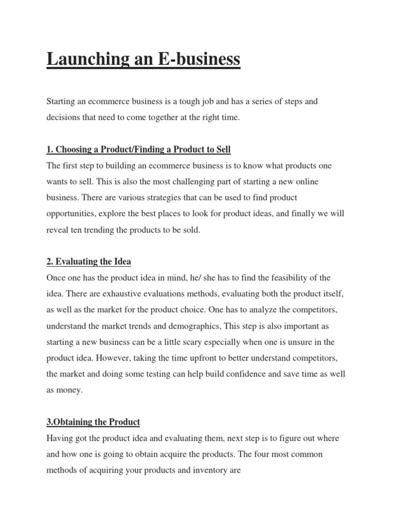 Launching An E Business | PDF | Search Engine Optimization | Inventory