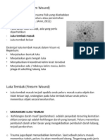 PLENO 1 (Luka Tembak (Firearm Wound) )