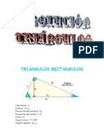 Matematicas Resueltos (Soluciones) Triángulos Rectángulos Nivel I 1º Bachillerato