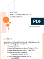 Role of Specialized Financial Institutions in Project Financing
