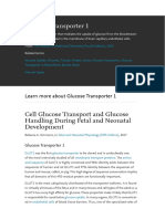 Glucose Transporter 1: Cell Glucose Transport and Glucose Handling During Fetal and Neonatal Development