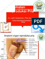 05 Kesehatan Reproduksi Pria PDF
