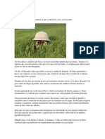 Tiempo Vivido PDF