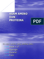 K6_ASAM AMINO DAN PROTEINA.ppsx