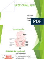 Carcinoma de Canal Anal Yudy