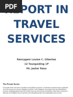 Report in Travel Services