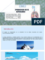 Adaptación pulmonar y fisiología respiratoria en alpinismo