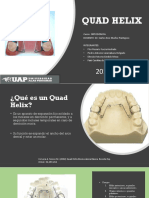 Quad Helix (Caso Clinico)