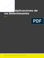 APLICACIONES DE DETERMINANTES.pdf