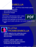 Embolijapluca 140520211727 Phpapp01