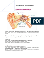 Anatomi Pendengaran Dan Fungsinya Kedua