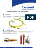 Recomendaciones Exsanel PDF