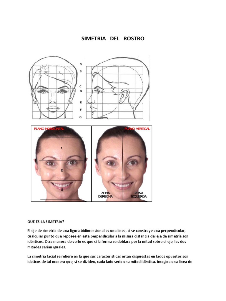 Medidas De Simetría Facial Perfecta Analizador De Rostros Online