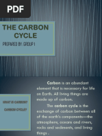 The Carbon Cycle