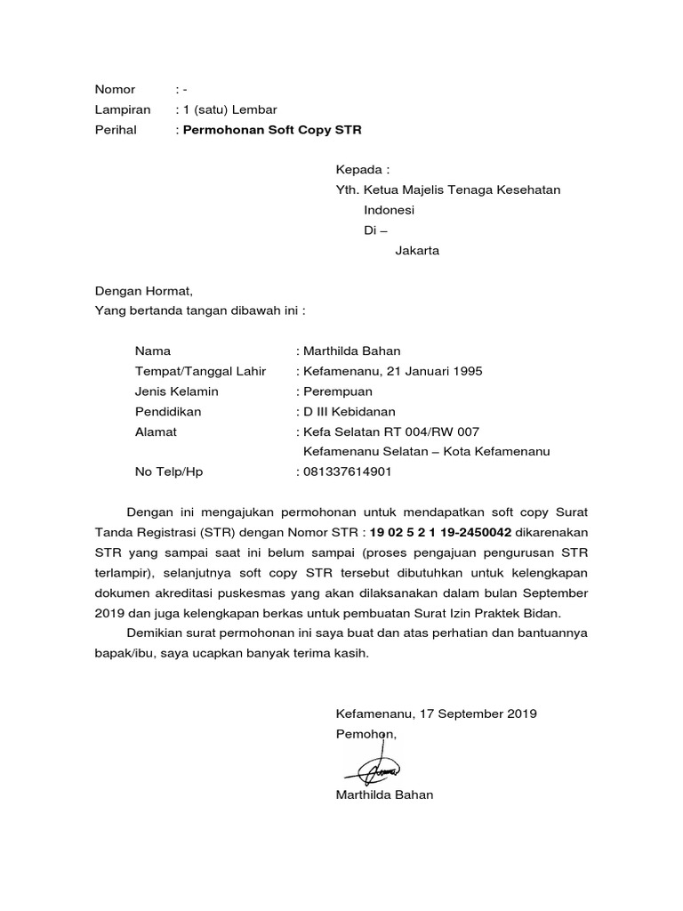 Pengajuan Soft Copy STR | PDF