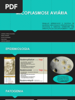 MICOPLASMOSE AVIÁRIA