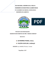 Informe de Proyecto de La Piña Ingenieria II