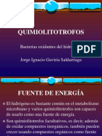 QUIMIOLITOTROFOS