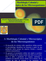 Morfologia Colonial y Microscopica de Los Mo