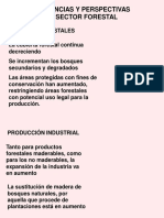 MANEJO Y RSE-resumen PDF