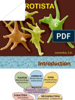 Bab 4 Protista