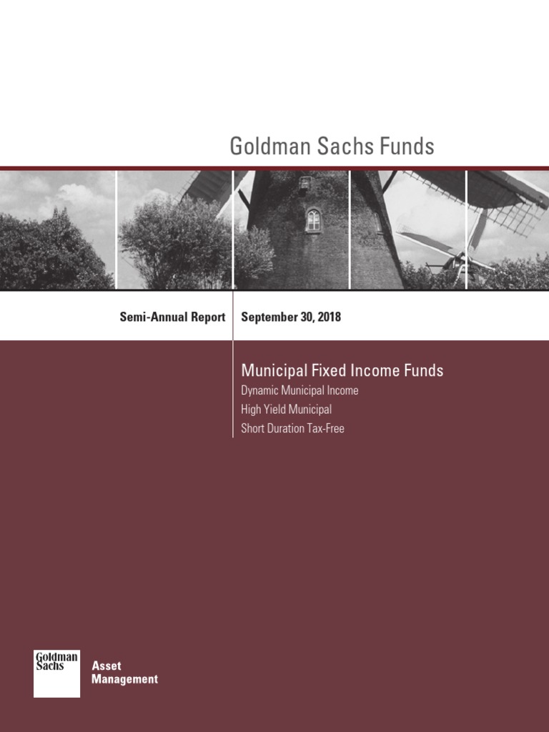 GSAM Municipal Fixed Sar PDF Yield (Finance) Municipal Bond