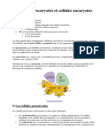 Cellules Procaryotes Et Cellules Eucaryotes