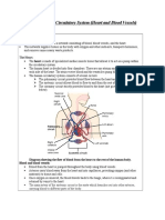 Topic:: The Circulatory System (Heart and Blood Vessels)