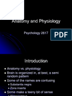 Anatomy and Physiology: Psychology 2617