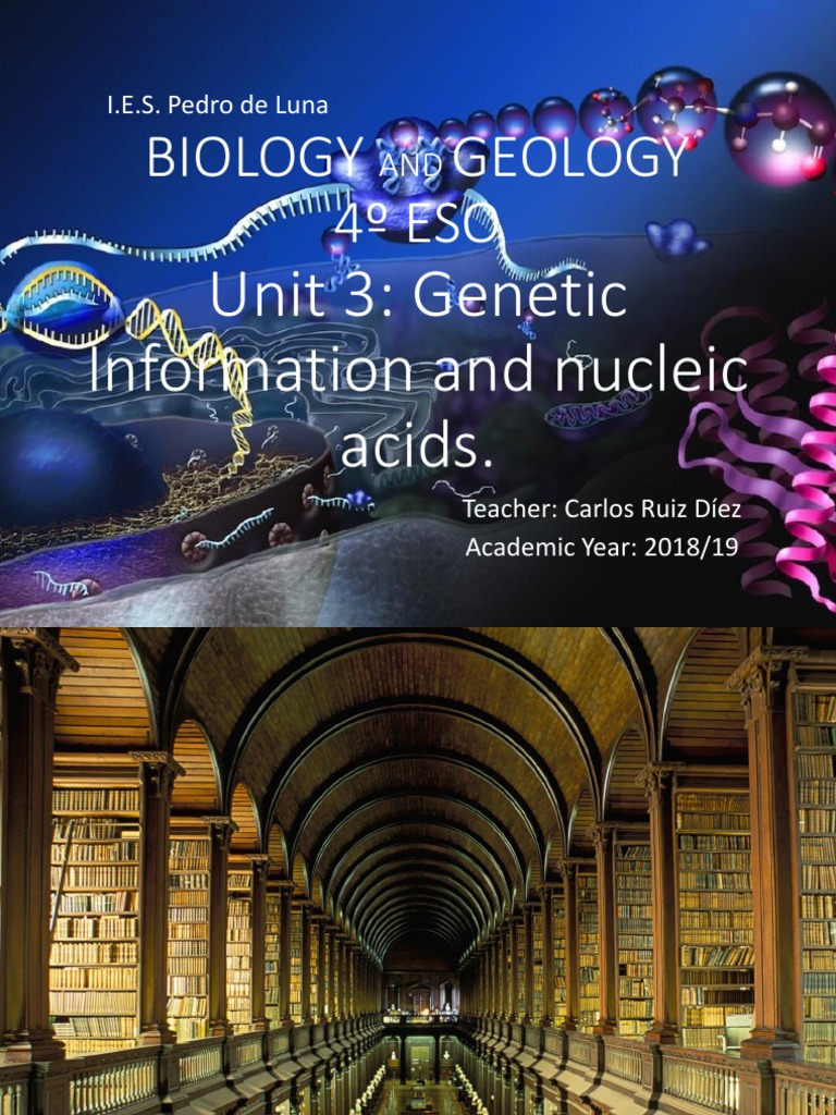 Summary 4º ESO Unit 3 Information and Nucleic Acids PDF