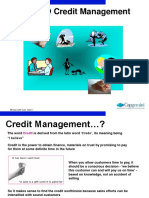 SD Credit Management Process and Configuration