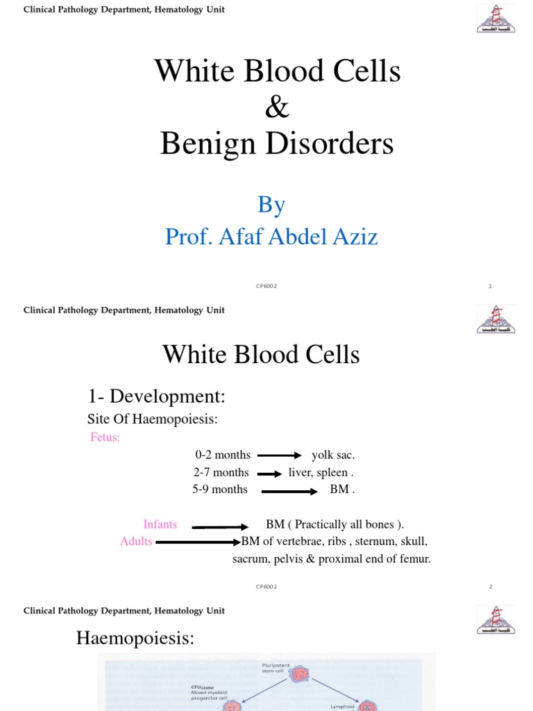 Whit Blood Cells and Benign Disorders | PDF | White Blood Cell ...