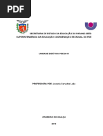 2013_unioeste_hist_pdp_jozania_carvalho_leao.pdf